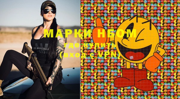 индика Наволоки