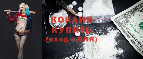 индика Наволоки