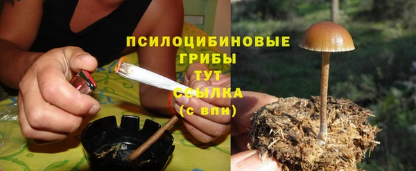 спайс Надым