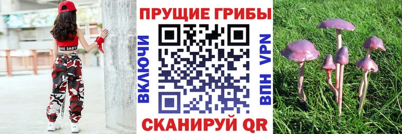 Псилоцибиновые грибы GOLDEN TEACHER  shop формула  Инта 